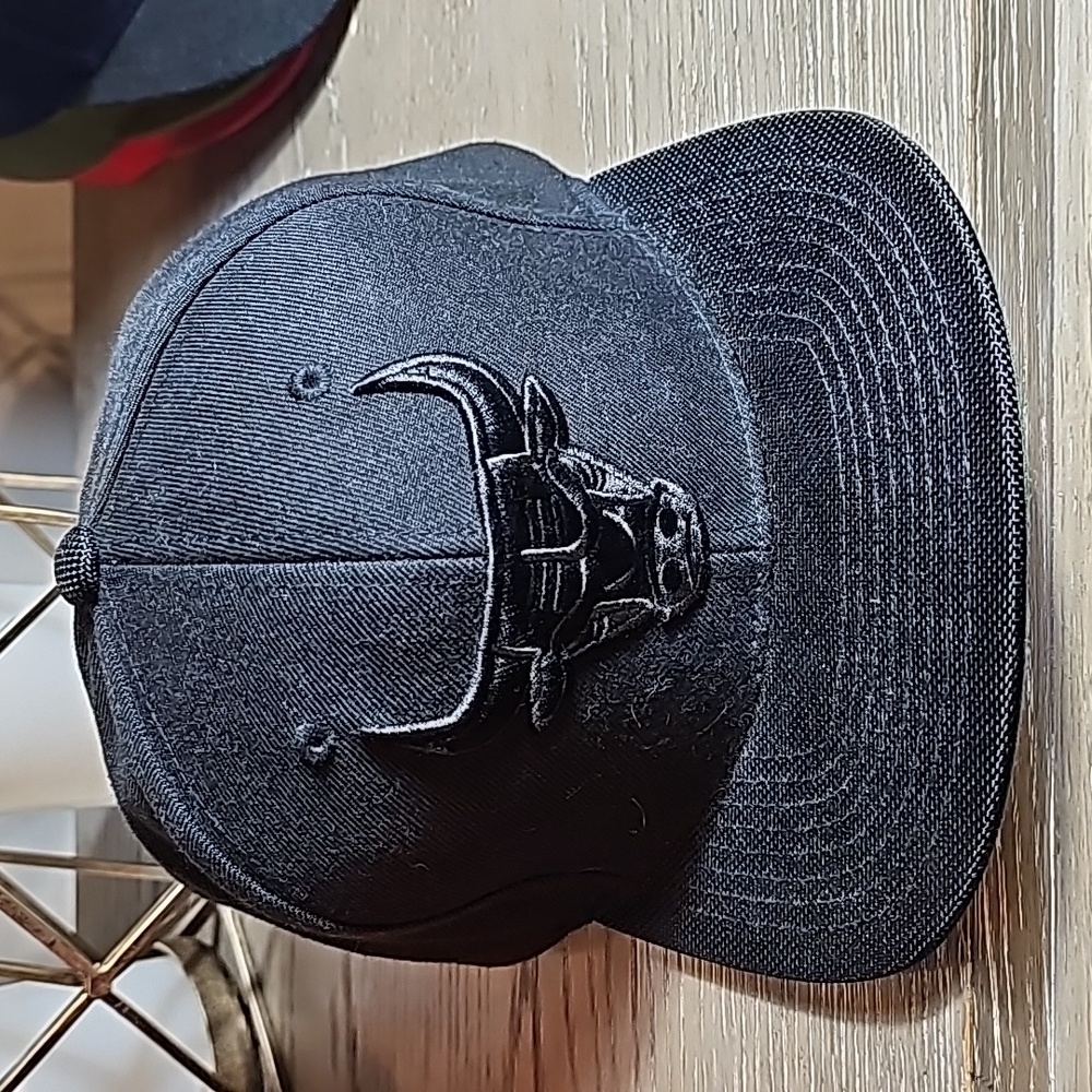 Bull all black snap back